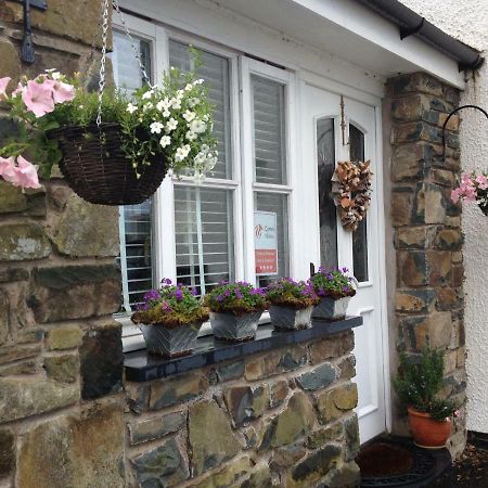 Snowdonia Snug - Studio Style Accommodation 多尔盖罗 外观 照片
