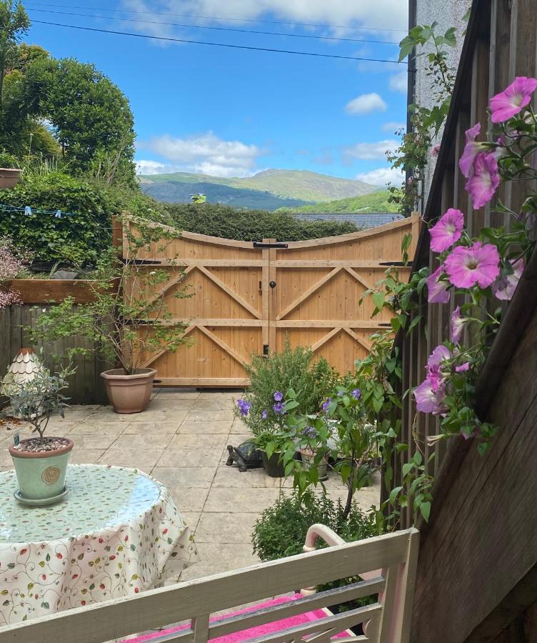 Snowdonia Snug - Studio Style Accommodation 多尔盖罗 外观 照片