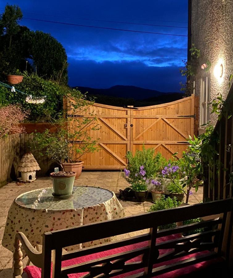 Snowdonia Snug - Studio Style Accommodation 多尔盖罗 外观 照片