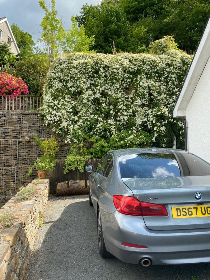 Snowdonia Snug - Studio Style Accommodation 多尔盖罗 外观 照片
