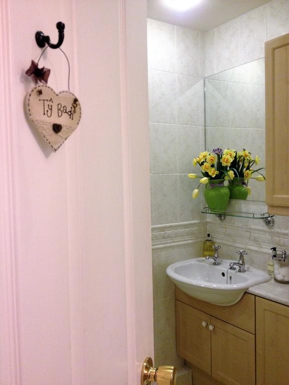 Snowdonia Snug - Studio Style Accommodation 多尔盖罗 外观 照片