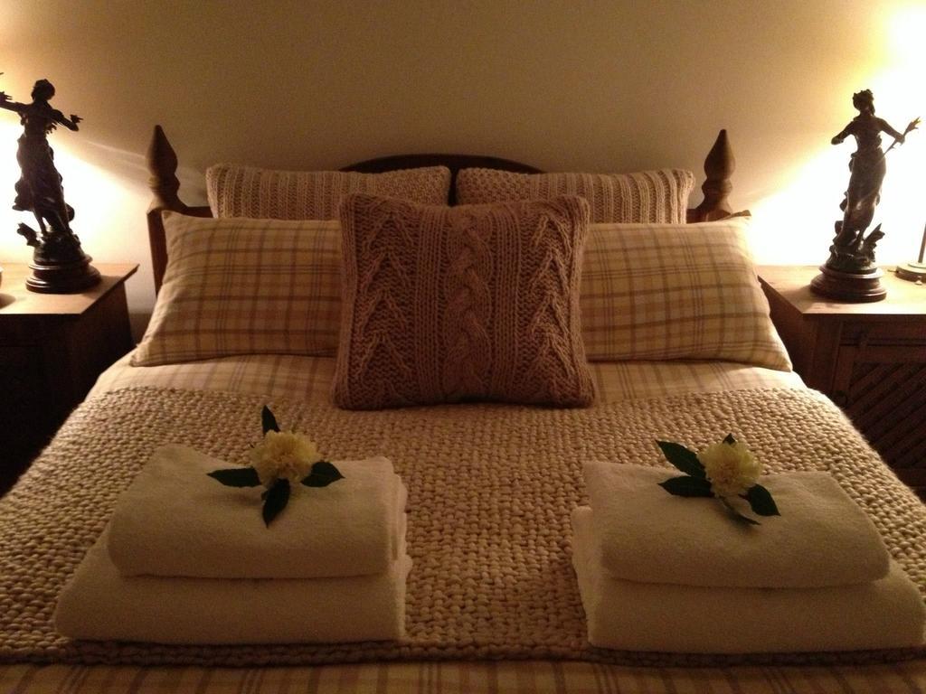 Snowdonia Snug - Studio Style Accommodation 多尔盖罗 外观 照片
